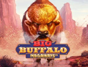 game logo by Skywind Group on megarichess.se