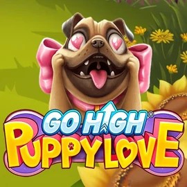 game logo by RubyPlay on megarichess.se